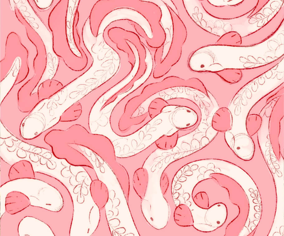 Front Page Hero Image 1 - Evy Benita - Eels 1 (1)