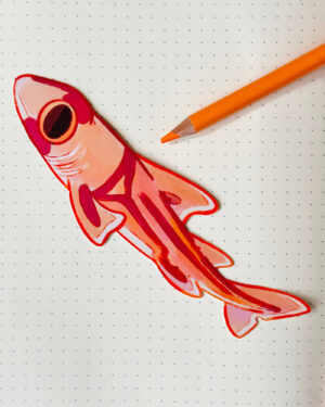 Port Jackson Shark Long Sticker